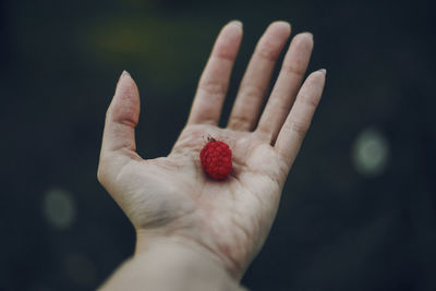 Close-up of hand holding raspberry