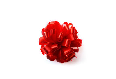 Close-up of red rose against white background