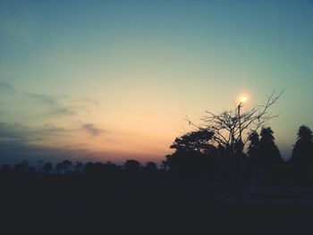 Silhouette trees at sunset