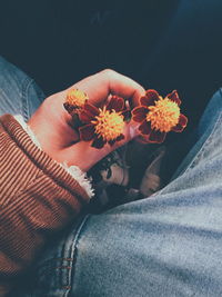 High angle view of woman holding orange flowers