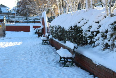 Snow covered field