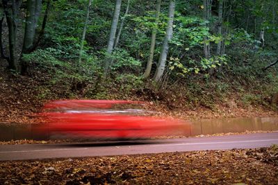 Blurred motion of road in forest