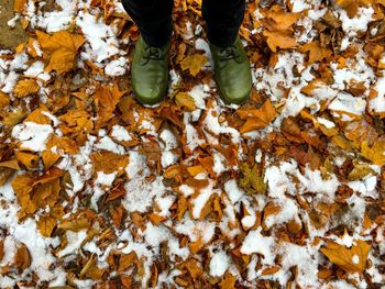 Low section of person standing on autumn leaves