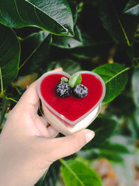 Close-up of hand holding strawberry