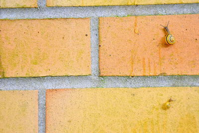 Close-up of yellow wall