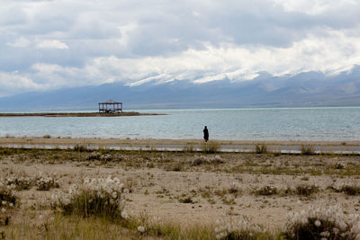 Man standing on beach against sky