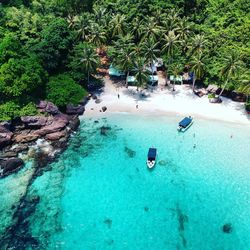 High angle view of people swimming in sea