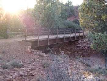 Footbridge in park