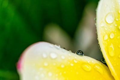 drop