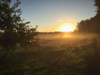 Scenic view of field against sky during sunset