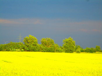 Scenic view of field against sky