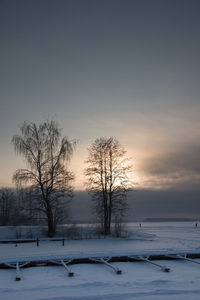 Bare trees on snow covered landscape