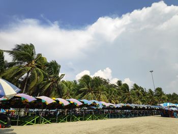 Palm trees on beach against sky