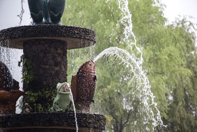 Water spraying from animal sculptures on fountain at park