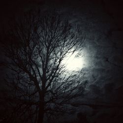 Low angle view of bare trees against sky