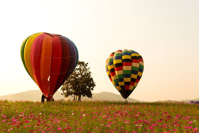 Hot air balloons on field against sky