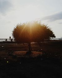 Silhouette woman by tree against sky