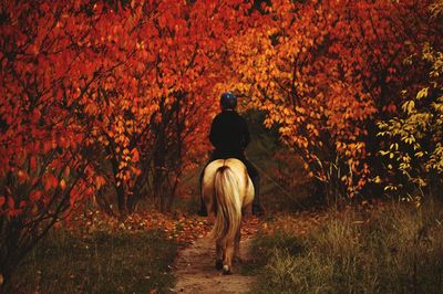 Rear view of woman standing by tree