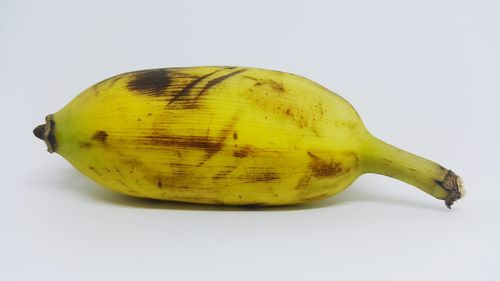 Close-up of apple against white background