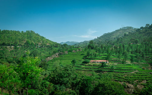 Beautiful landscape with single homes in middle of the nature