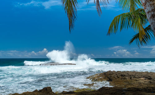 Scenic view of sea against sky