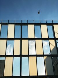 Low angle view of birds flying against sky