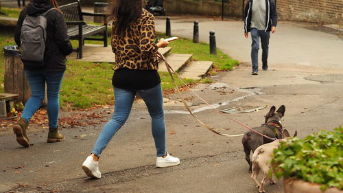 Rear view of woman with dog on footpath