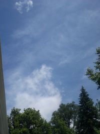 Low angle view of trees against cloudy sky