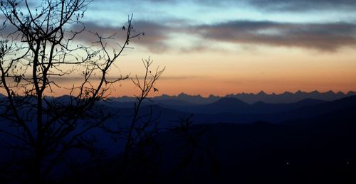 Silhouette bare tree against sky during sunset