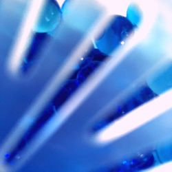 Close-up of plant against blue sky