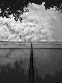 Trees against sky