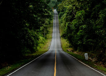 Empty road amidst trees in forest