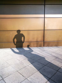 Shadow of man on footpath by wall