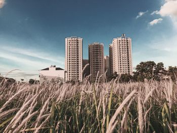 Low angle view of buildings on field against sky