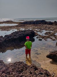 Rear view of man standing on beach