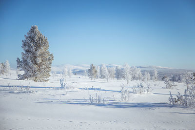 Scenic view of snowcapped landscape against clear blue sky