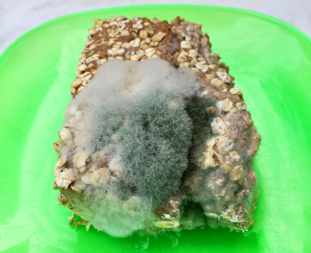 CLOSE-UP OF BREAD IN CONTAINER