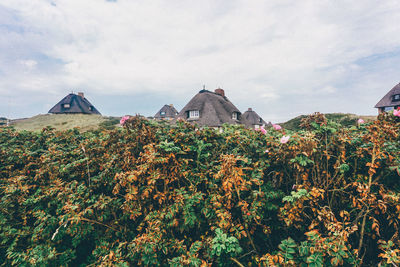 Tents on countryside landscape against clouds