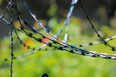 Close up on barbed wire in the nature