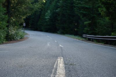 Road amidst trees