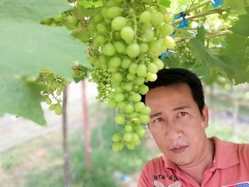 Man looking away in vineyard