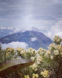 Scenic view of mountains against sky