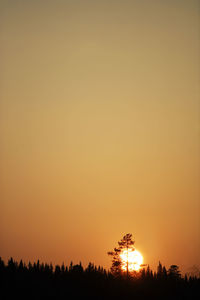 Silhouette trees against orange sky