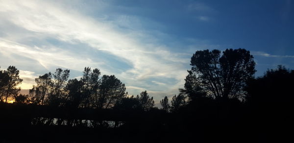 Silhouette trees against sky at sunset