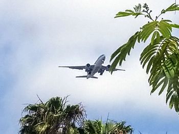 Low angle view of airplane flying against sky
