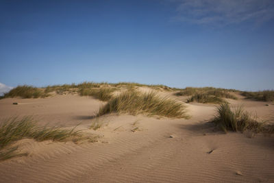 Scenic view of beach against clear sky