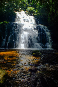 View of waterfall in forest