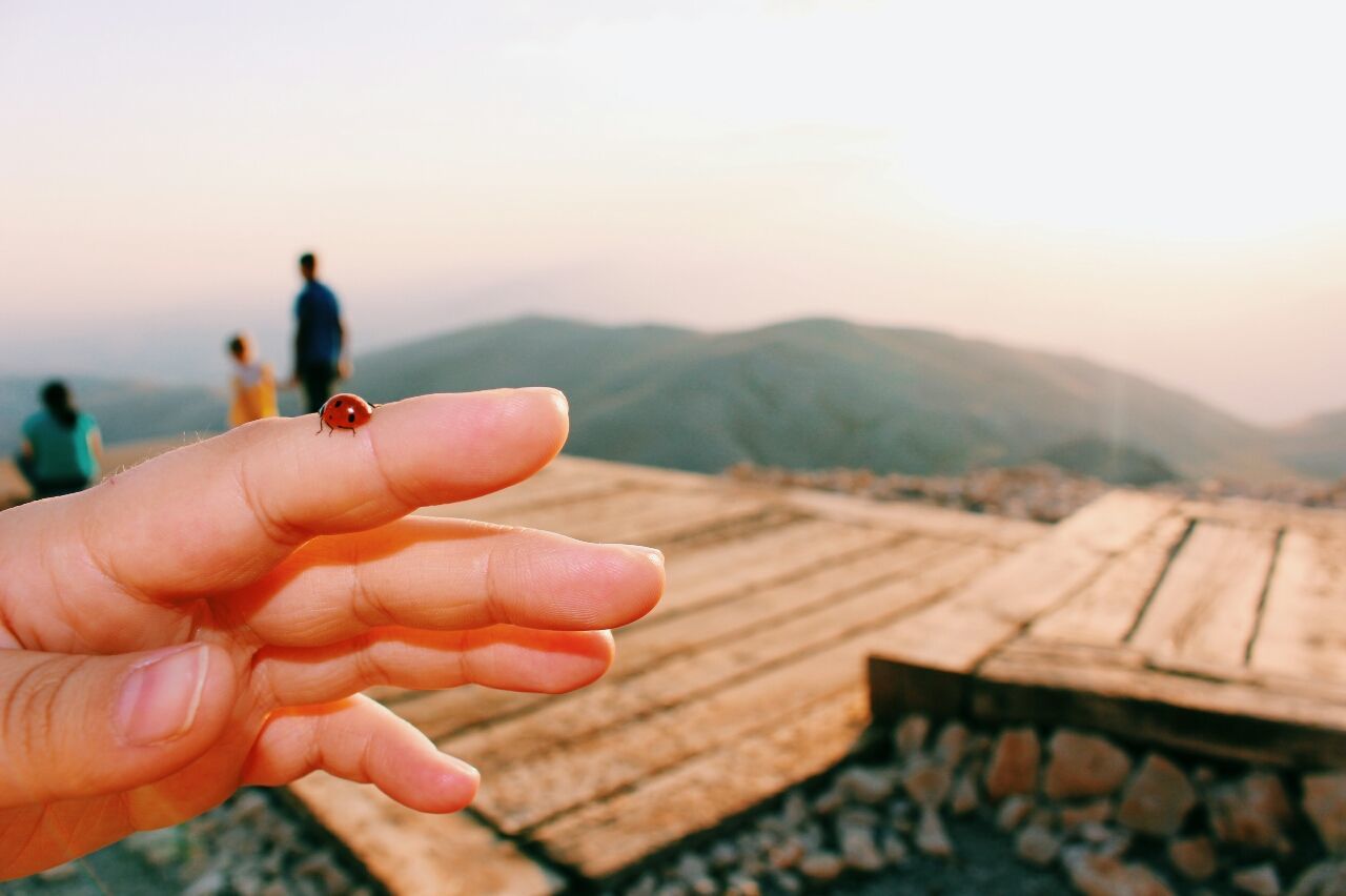 person, part of, cropped, holding, human finger, focus on foreground, mountain, unrecognizable person, personal perspective, lifestyles, men, leisure activity, clear sky, sky, close-up, landscape, nature