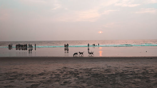 Scenic view of beach against sky during sunset