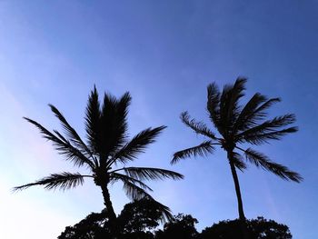 Low angle view of silhouette palm tree against clear blue sky